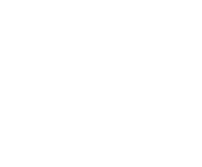 Evolution games at Royal Spin Max Casino